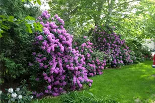 227 Irving Ave, Providence, RI 02906 - Photo 23