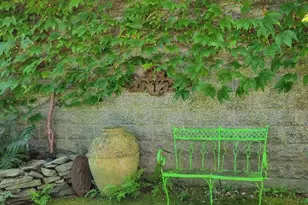 27 Hall Ave, Newport, RI 02840 - Photo 41