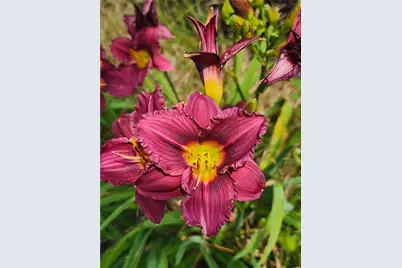 33 Whipple Avenue, Westerly, RI 02891 - Photo 41