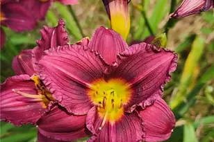 33 Whipple Ave, Westerly, RI 02891 - Photo 41