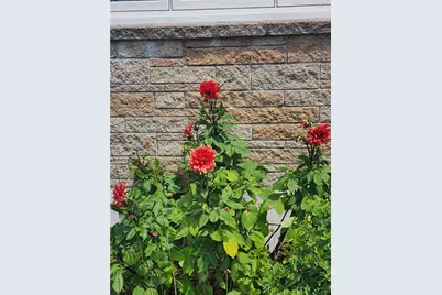 33 Whipple Avenue, Westerly, RI 02891 - Photo 39