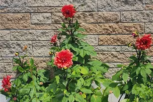 33 Whipple Ave, Westerly, RI 02891 - Photo 39