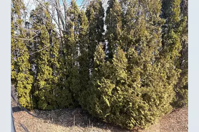 351 County Road, Barrington, RI 02806 - Photo 15