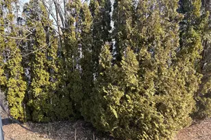 351 County Rd, Barrington, RI 02806 - Photo 43