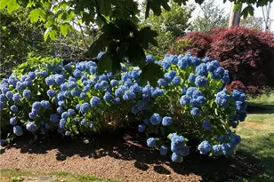 611 Wolcott Ave, Middletown, RI 02842 - Photo 25