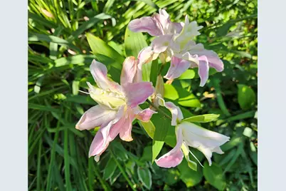 57 Delway Road, Cranston, RI 02910 - Photo 25