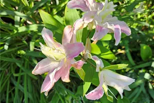 57 Delway Rd, Cranston, RI 02910 - Photo 25