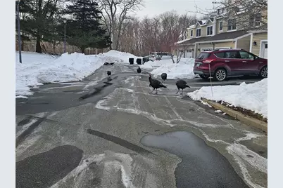 37 Lawton Brook Lane, Portsmouth, RI 02871 - Photo 17