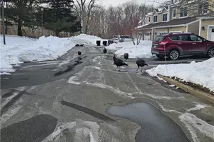 37 Lawton Brook Ln, Portsmouth, RI 02871 - Photo 17