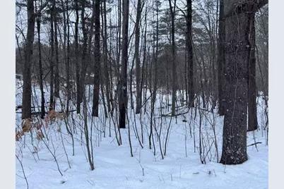 0 Wallum Lake Road, Burrillville, RI 02859 - Photo 1