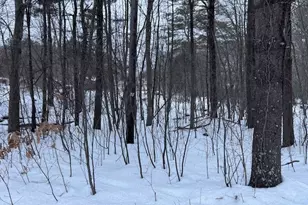 0 Wallum Lake Rd, Burrillville, RI 02859 - Photo 1