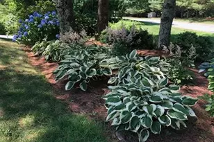 2 Applewood Ct, , MA 02532 - Photo 37