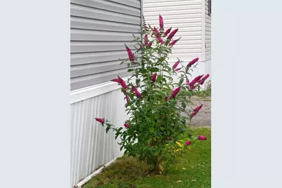 662 Forest Park Parkway, Middletown, RI 02842 - Photo 11