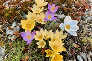 22 Grassy Plain Rd, East Providence, RI 02915 - Photo 33