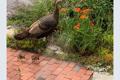 22 Grassy Plain Road, East Providence, RI 02915 - Photo 31