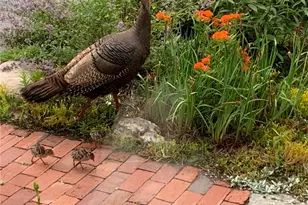 22 Grassy Plain Rd, East Providence, RI 02915 - Photo 31