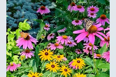 22 Grassy Plain Road, East Providence, RI 02915 - Photo 29