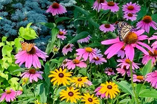 22 Grassy Plain Rd, East Providence, RI 02915 - Photo 29