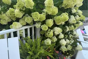 154 Lincoln Ave, Barrington, RI 02806 - Photo 39