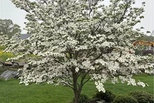 33 Abatecola Wy, Johnston, RI 02919 - Photo 47