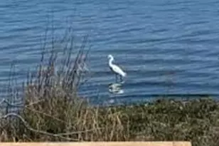 385 Park Ave, Portsmouth, RI 02871 - Photo 45