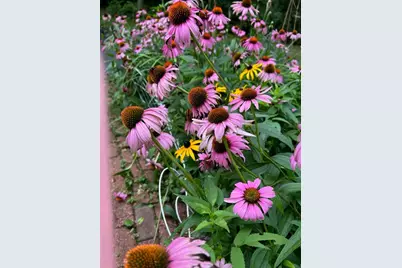 147 Francis Horn Drive, South Kingstown, RI 02881 - Photo 33