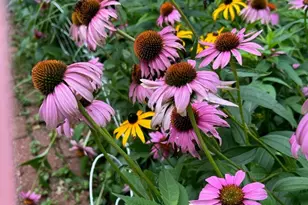 147 Francis Horn Dr, South Kingstown, RI 02881 - Photo 33