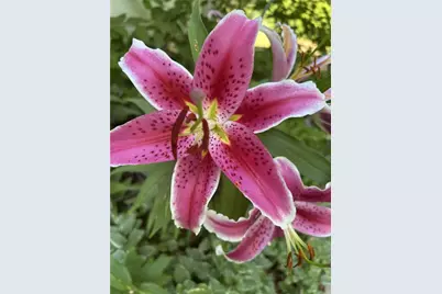 147 Francis Horn Drive, South Kingstown, RI 02881 - Photo 35