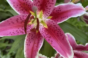 147 Francis Horn Dr, South Kingstown, RI 02881 - Photo 35