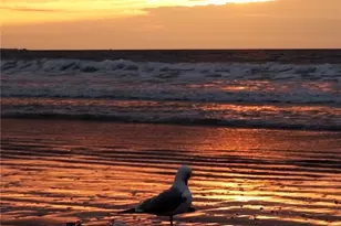 56 Sand Hill Cove Rd, Narragansett, RI 02882 - Photo 11