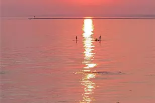 56 Sand Hill Cove Rd, Narragansett, RI 02882 - Photo 13