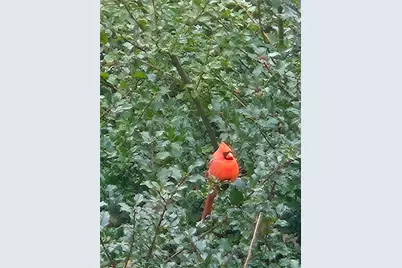 630 Whaley Hollow Road, Coventry, RI 02816 - Photo 31