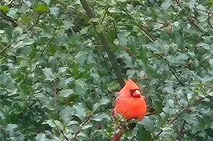 630 Whaley Hollow Rd, Coventry, RI 02816 - Photo 31