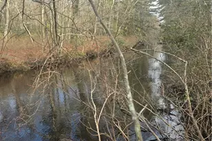 0 Alton Braford Rd, Hopkinton, RI 02833 - Photo 1