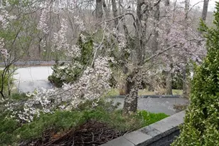 44 Rockridge Rd, Westerly, RI 02891 - Photo 29