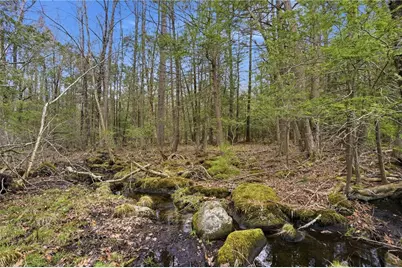 145 Echo Road, Glocester, RI 02814 - Photo 19