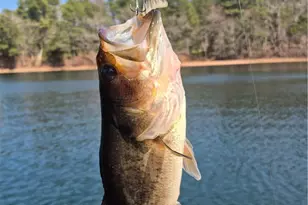 301 Switch Rd, Richmond, RI 02832 - Photo 23