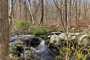 441 Franklin Rd, Coventry, RI 02816 - Photo 33
