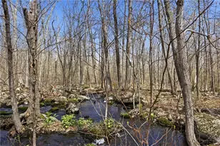 441 Franklin Rd, Coventry, RI 02816 - Photo 35