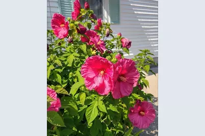 26 Potomac Road, Warwick, RI 02888 - Photo 5