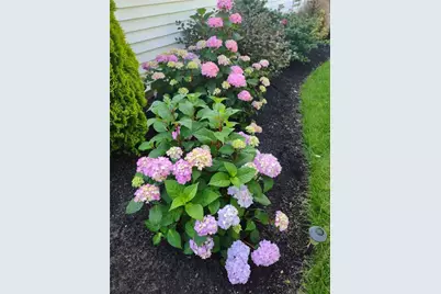 26 Potomac Road, Warwick, RI 02888 - Photo 37
