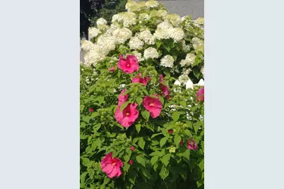 26 Potomac Road, Warwick, RI 02888 - Photo 47