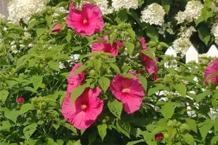 26 Potomac Rd, Warwick, RI 02888 - Photo 47