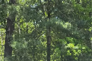 0 E Wallum Lake Rd, Burrillville, RI 02830 - Photo 1