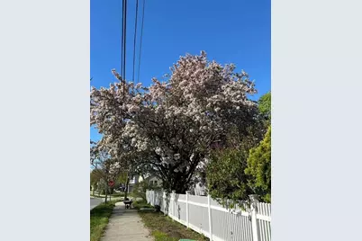316 Waseca Avenue, Barrington, RI 02806 - Photo 3