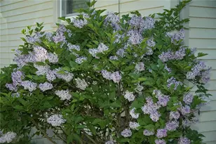 23 Perkins St, Warwick, RI 02886 - Photo 15