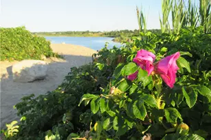 11 Collins Ave, Westerly, RI 02891 - Photo 33