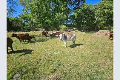 241 Cornell Road, Tiverton, RI 02878 - Photo 37