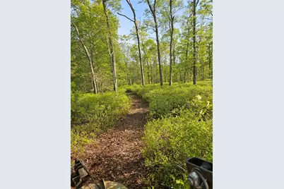 241 Cornell Road, Tiverton, RI 02878 - Photo 33