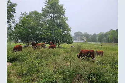 241 Cornell Road, Tiverton, RI 02878 - Photo 43